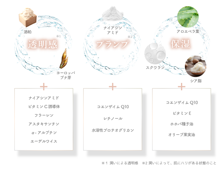 透明感+プラン+保湿プ