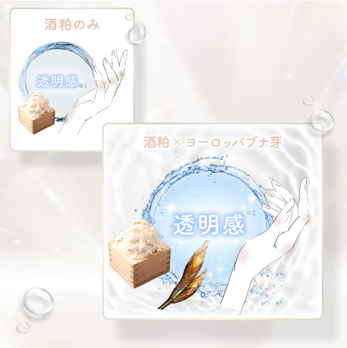 透明感のベストコンビ酒粕×ヨーロッパブナ芽